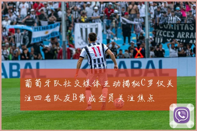 葡萄牙队社交媒体互动揭秘C罗仅关注四名队友B费成全员关注焦点